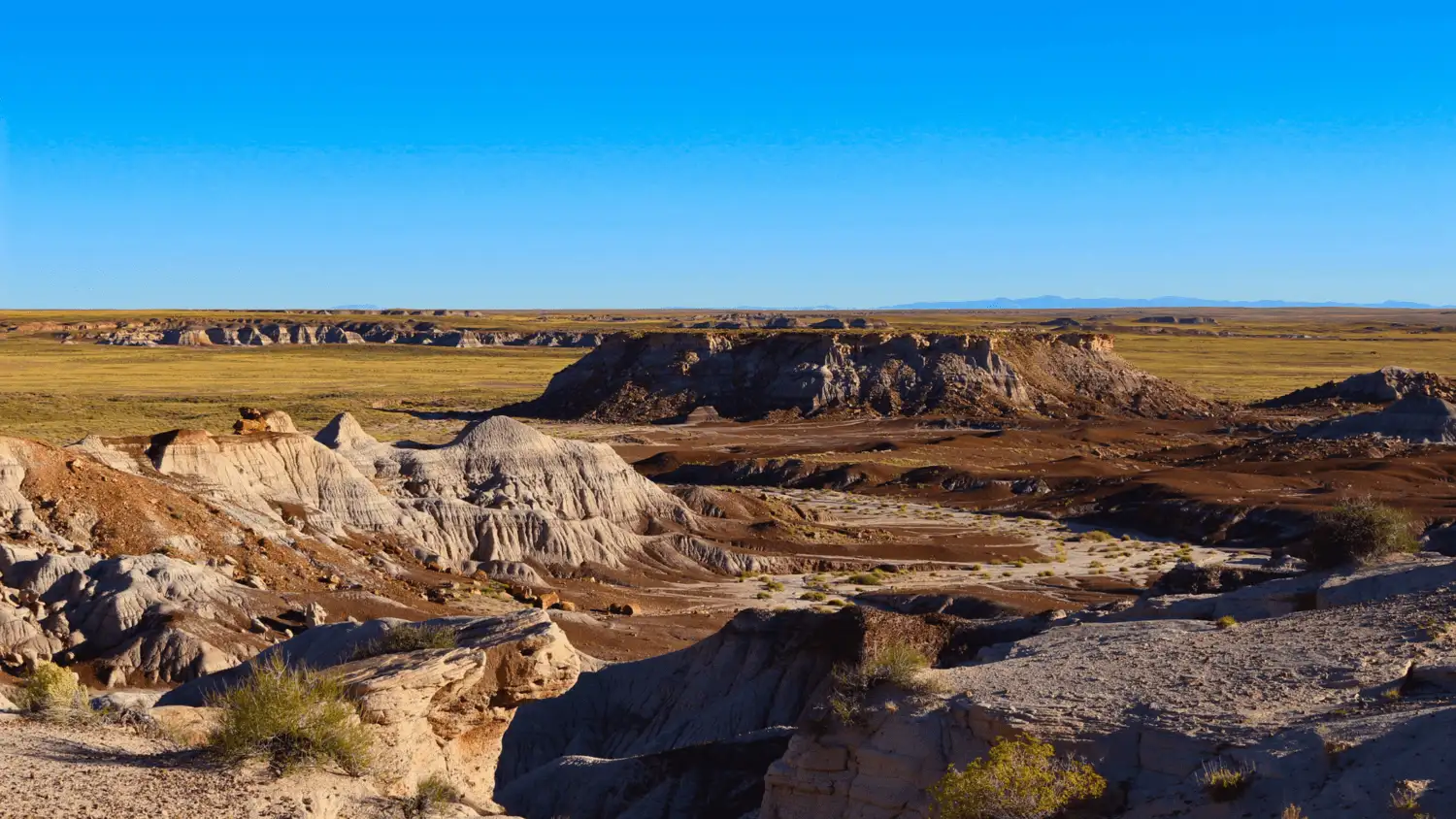 Camping in the Painted Desert of Petrified Forest National Park