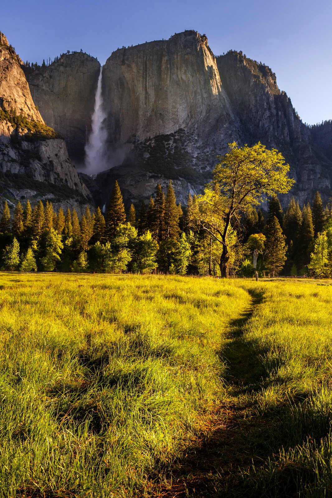 Endless Bike Paths In Yosemite Valley